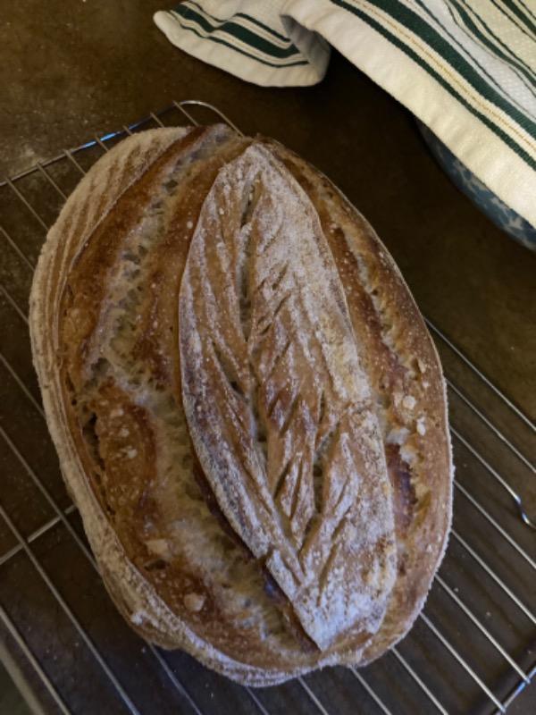 DELUXE Bread Kit (with bonus Sourdough Starter) - Customer Photo From Sue A.