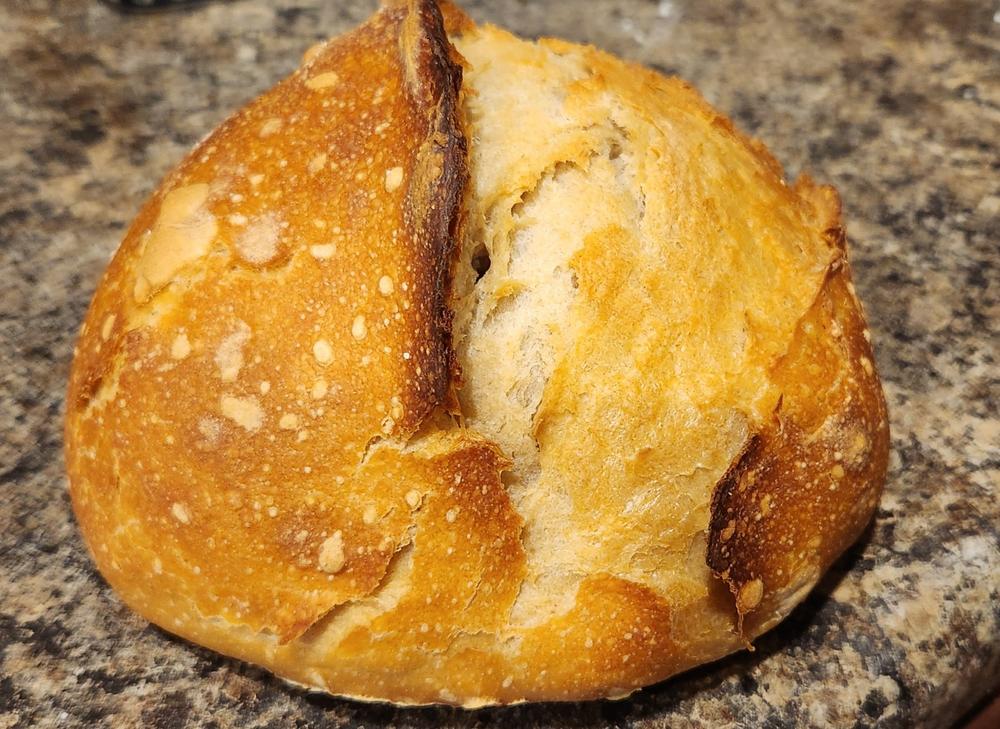 DELUXE Bread Kit (with bonus Sourdough Starter) - Customer Photo From Paulette J.