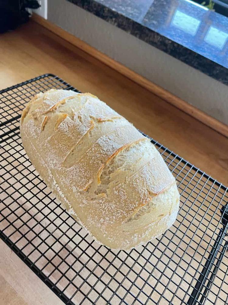 Bread Kit - Customer Photo From Rachel B.