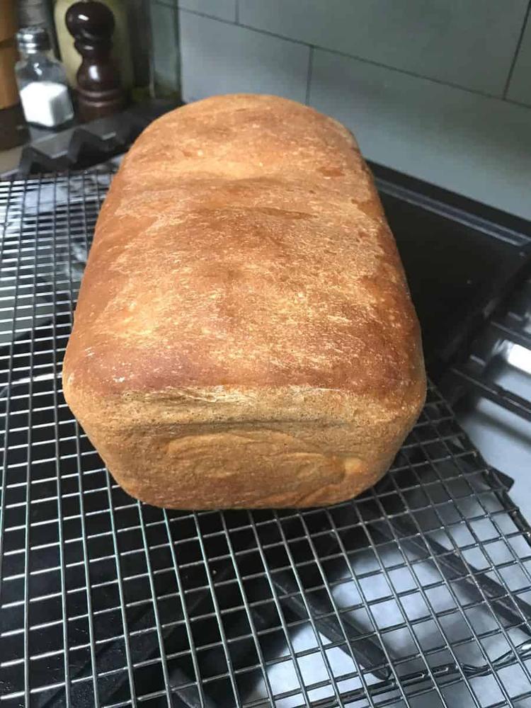 Bread Kit - Customer Photo From Susan C.