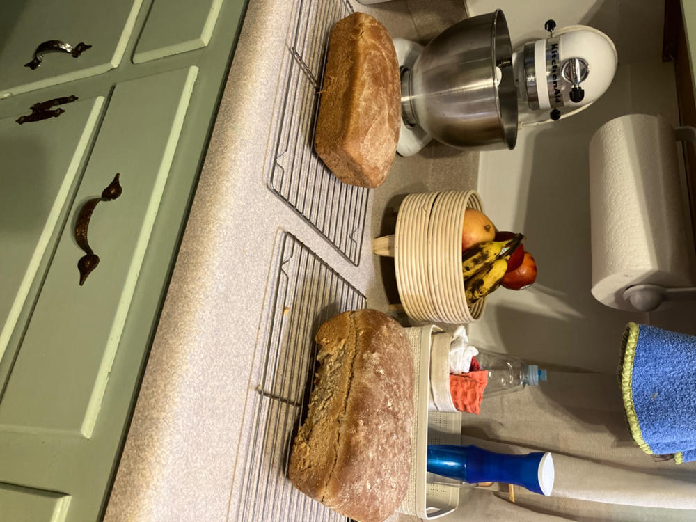 Ultra-Fine Heritage Whole Wheat Flour - Customer Photo From Allison S.
