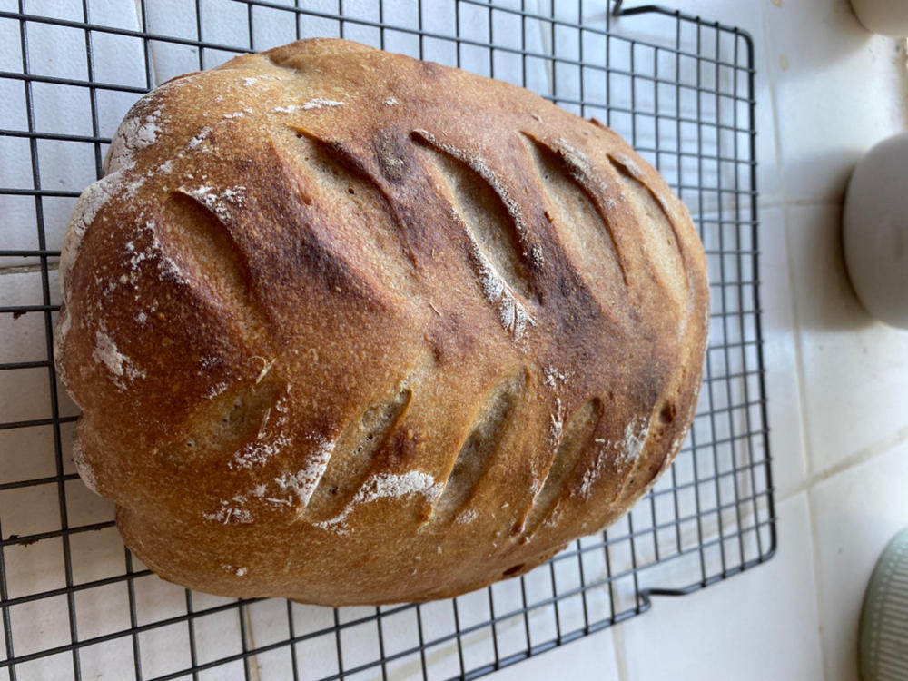 Ultra-Fine Heritage Whole Wheat Flour - Customer Photo From Carol D.