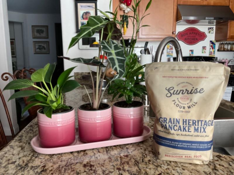 7-Grain Heritage Pancake Mix - Customer Photo From Mary J.