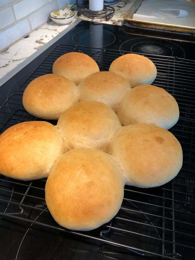 White Sonora Heritage Wheat Berries - Customer Photo From Lorrie M.