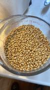 Sunrise Flour Mill Heritage Wheat Berries Review