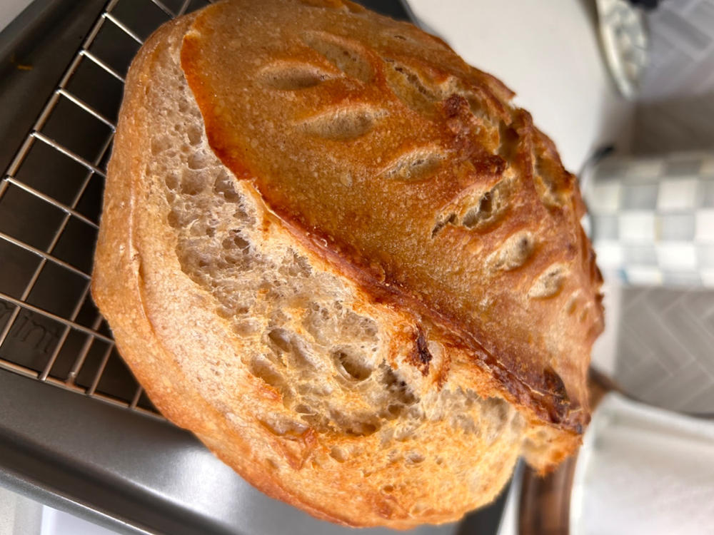 Sourdough Starter - Customer Photo From Wendy F.