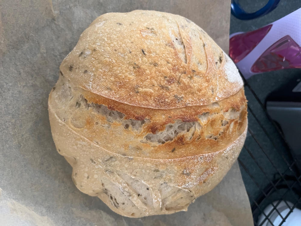 Sourdough Starter - Customer Photo From Michelle O.