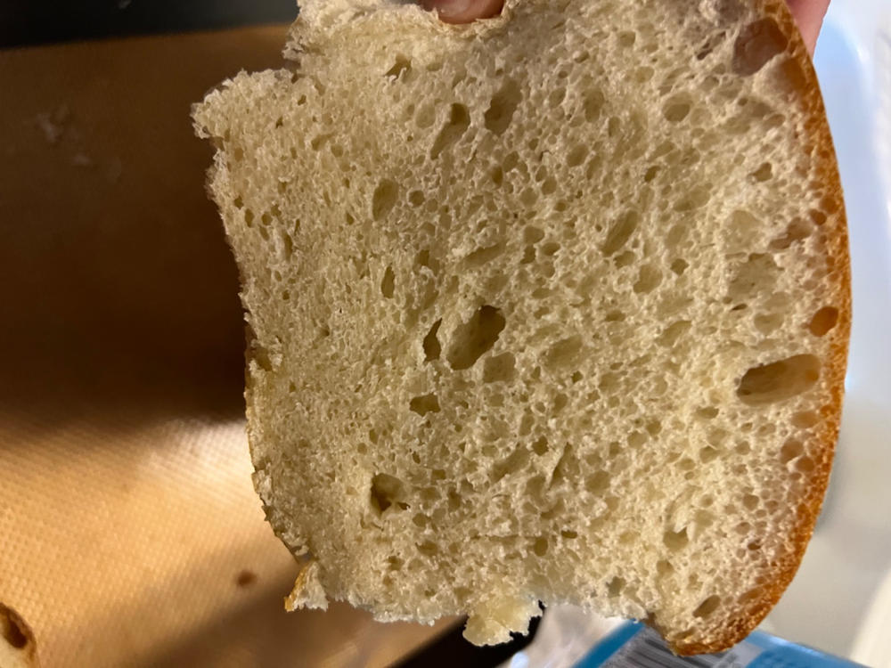 Sourdough Starter - Customer Photo From Penny S.