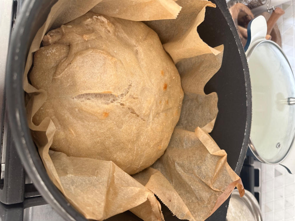 Sourdough Starter - Customer Photo From Donna M.