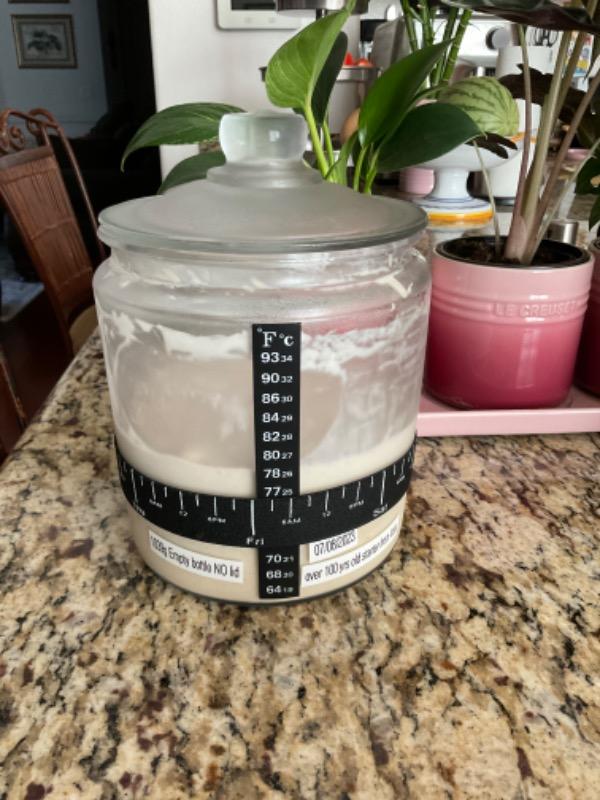 Sourdough Starter - Customer Photo From Mary J.