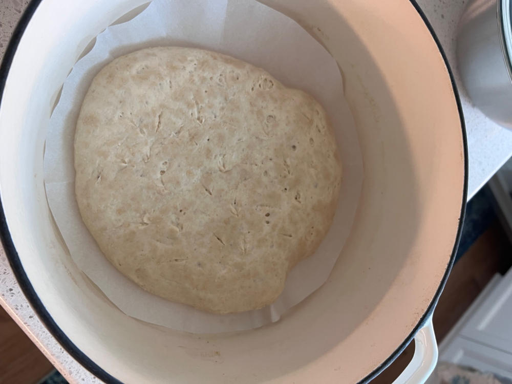Heritage Sourdough Starter Kit - Customer Photo From Caitlin W.