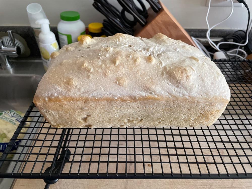Heritage Sourdough Starter Kit - Customer Photo From Diana S.