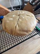 Sunrise Flour Mill Heritage Sourdough Starter Kit Review