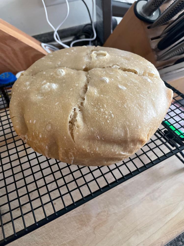 Heritage Sourdough Starter Kit - Customer Photo From Diana S.