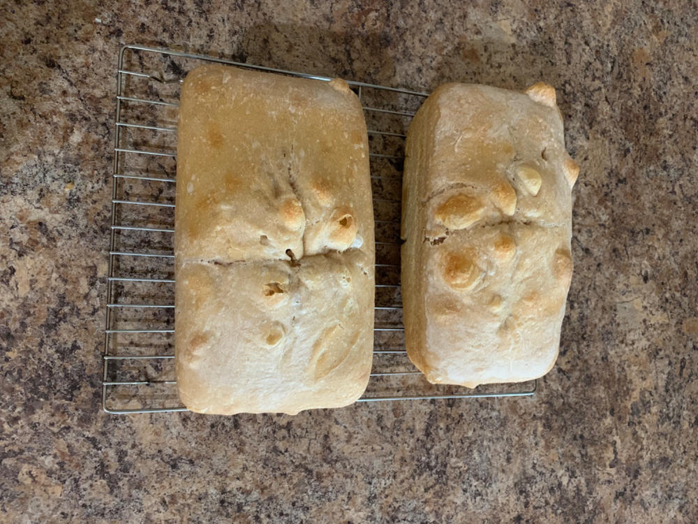 Heritage Sourdough Starter Kit - Customer Photo From Sharleen P.