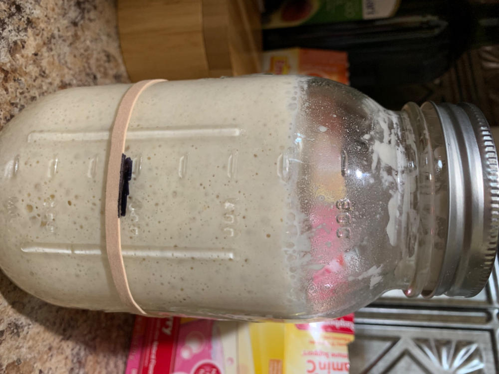 Heritage Sourdough Starter Kit - Customer Photo From Sharleen P.