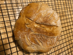 Sunrise Flour Mill Heritage Sourdough Starter Kit Review