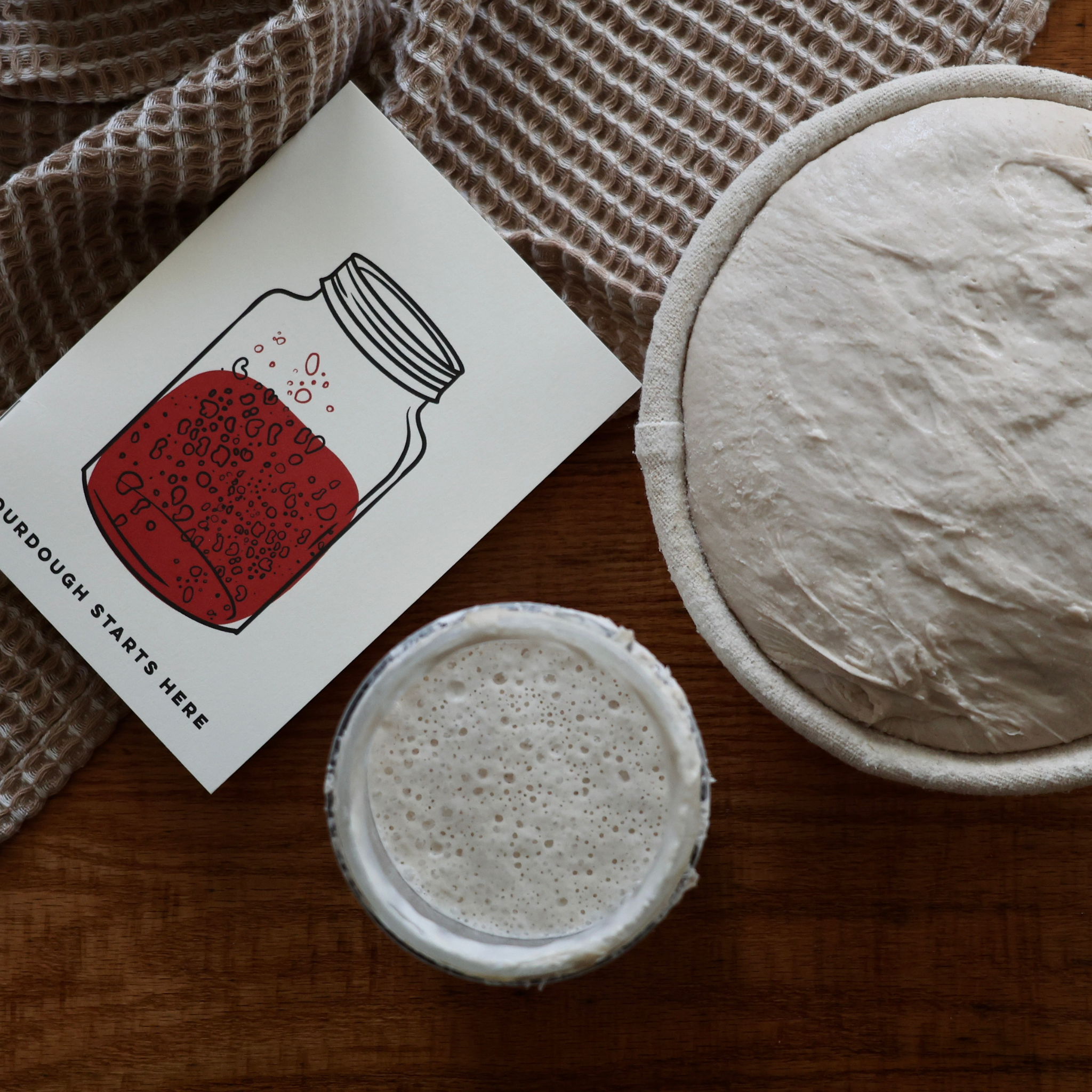 Sourdough Starter