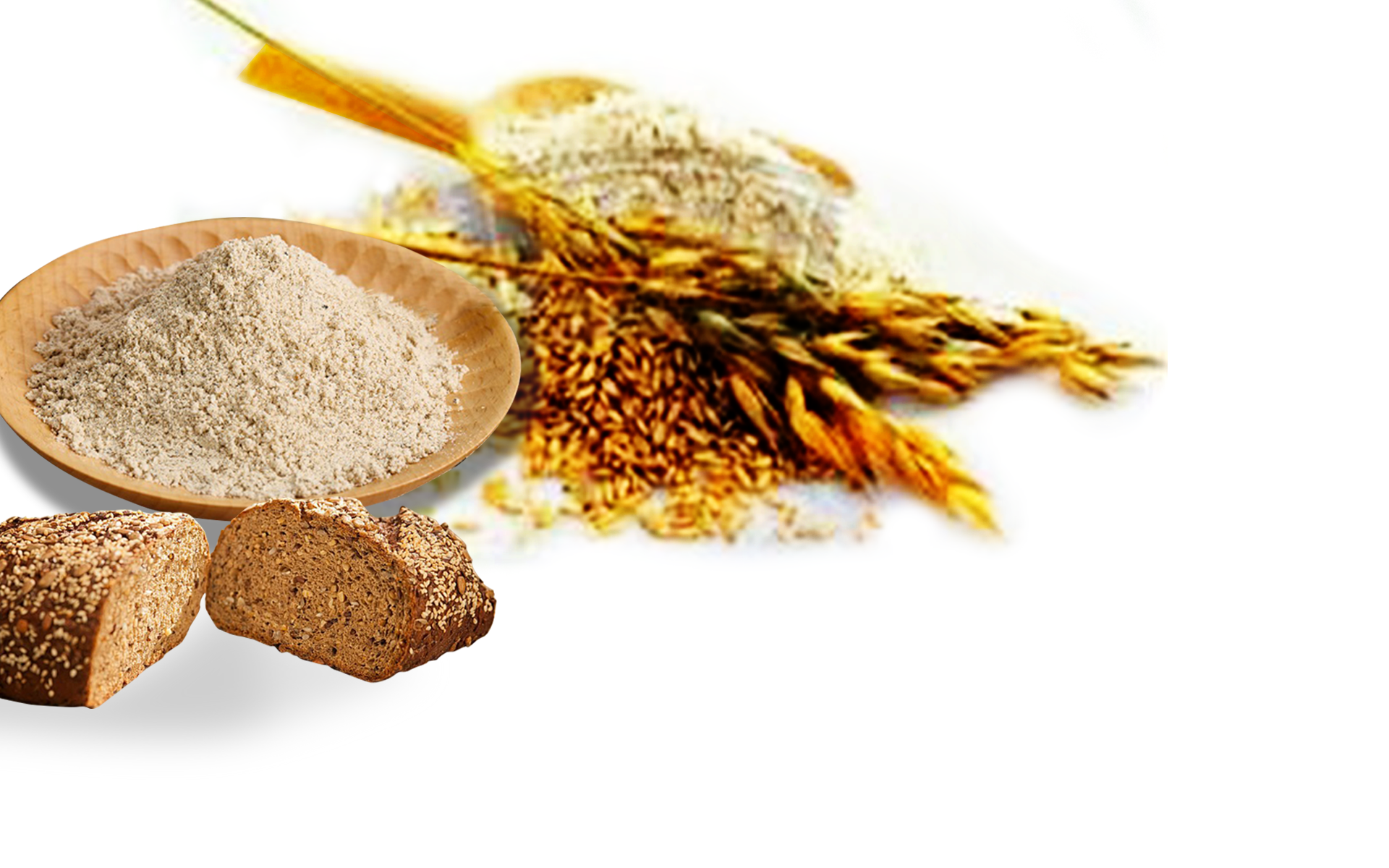 SUNNY MULTI GRAINS 